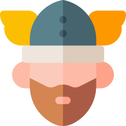 viking icoon