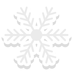 winter icon