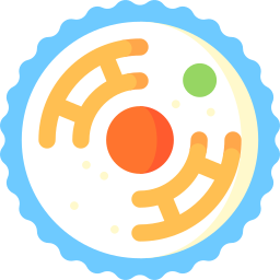 zelle icon