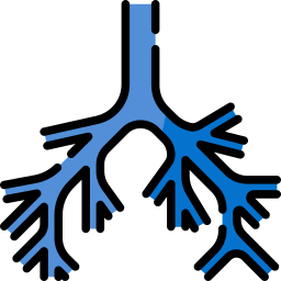 pulmão Ícone