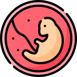 Embryo icon