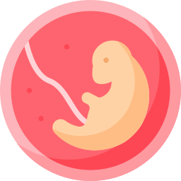 Embryo icon