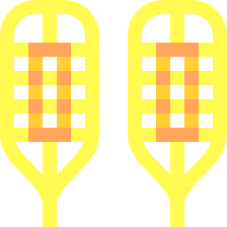 Snowshoes icon