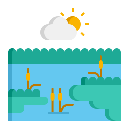 Swamp icon