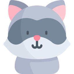 raccoon icon