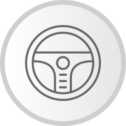 Steering Wheel icon