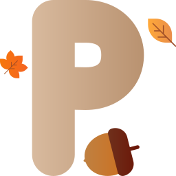 Letter P icon