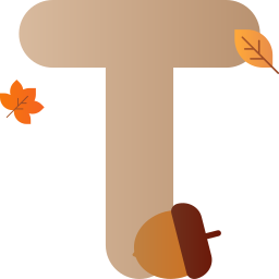 Letter T  icon