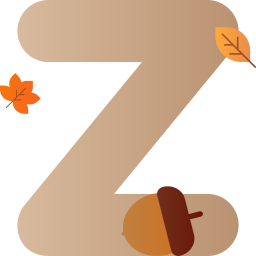 Letter z icon