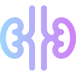 Kidneys icon