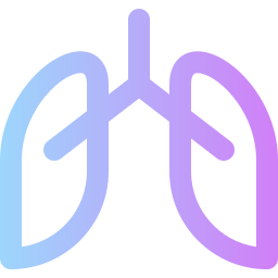 Lungs icon