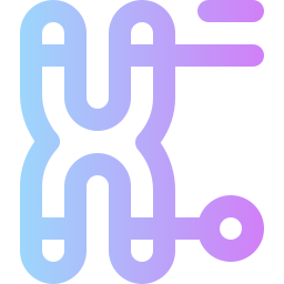 chromosome Icône