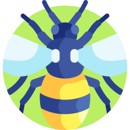 Bee icon