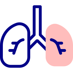 pulmões Ícone