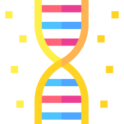 adn Icône