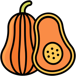 Butternut squash icon