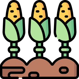 Corn icon