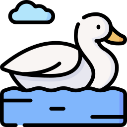 Duck icon