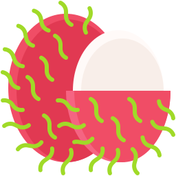 rambutan icona