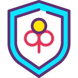 Shield icon