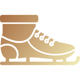 Ice Skates icon