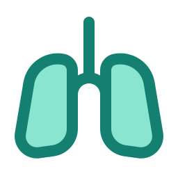 Lung icon