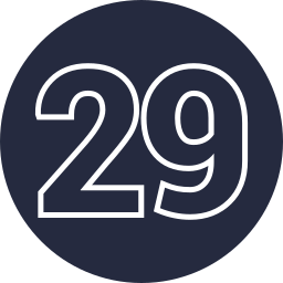 29 icon