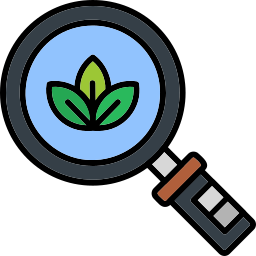 Organic search icon