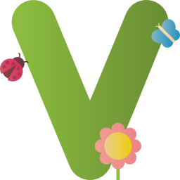 Letter V icon