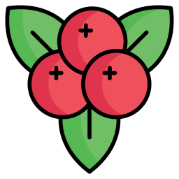 Mistletoe icon