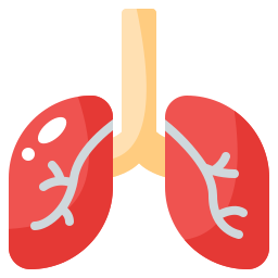 pulmões Ícone