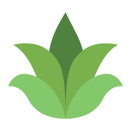 Aloe Vera icon