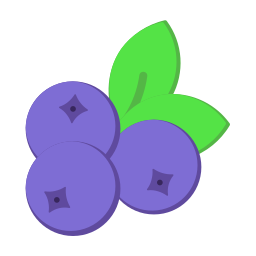 Blueberry icon