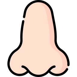 Nose icon