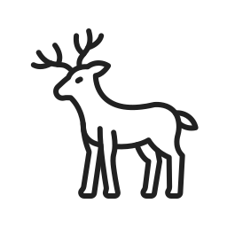 Deer icon