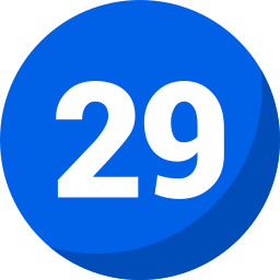 29 icon