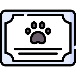 Certificate icon