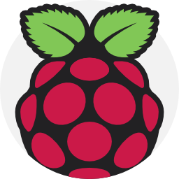 Raspberry pi icon