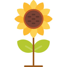 Sunflower icon