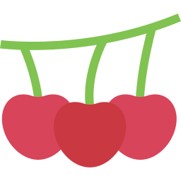 Berry icon