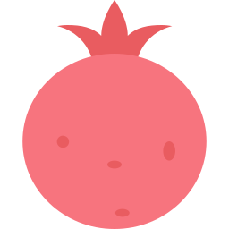 Pomegranate icon