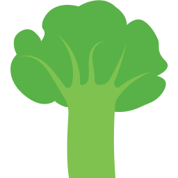 Broccoli icon