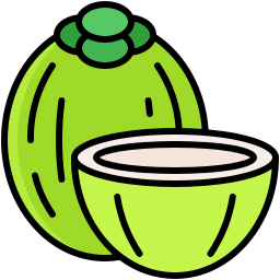 Coconut icon