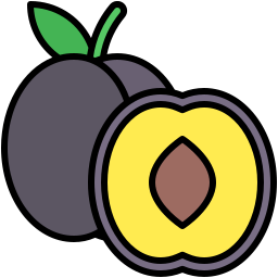 Plum icon