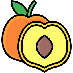 Nectarine icon