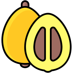 Maltese plum icon