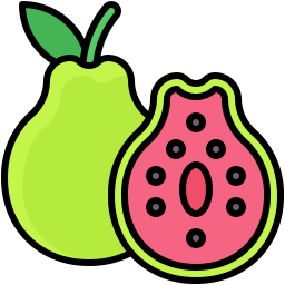 Guava icon