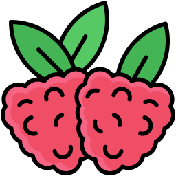 Raspberry icon