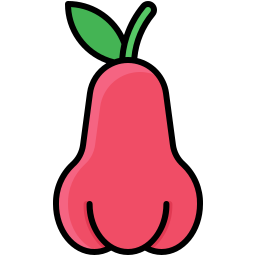 Rose apple icon