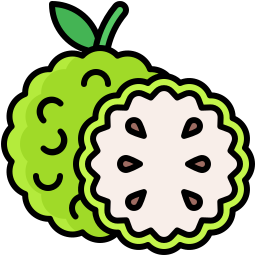 Custard apple icon